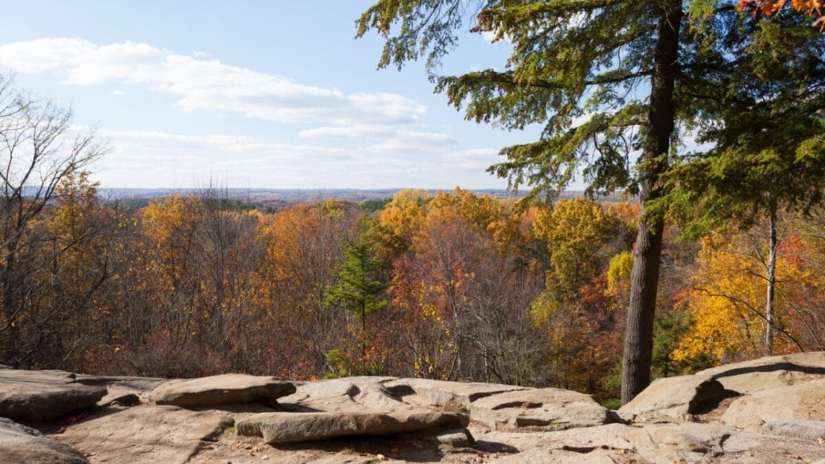 12 Best US States for Bird Watching 12 12 Best US States for Bird Watching - ohio cuyahoga valley national park dp193821648