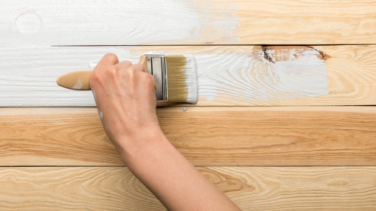 7 Effective Ways to Get Rid of Carpenter Bees 3 7 Effective Ways to Get Rid of Carpenter Bees - painting walls dp263608934