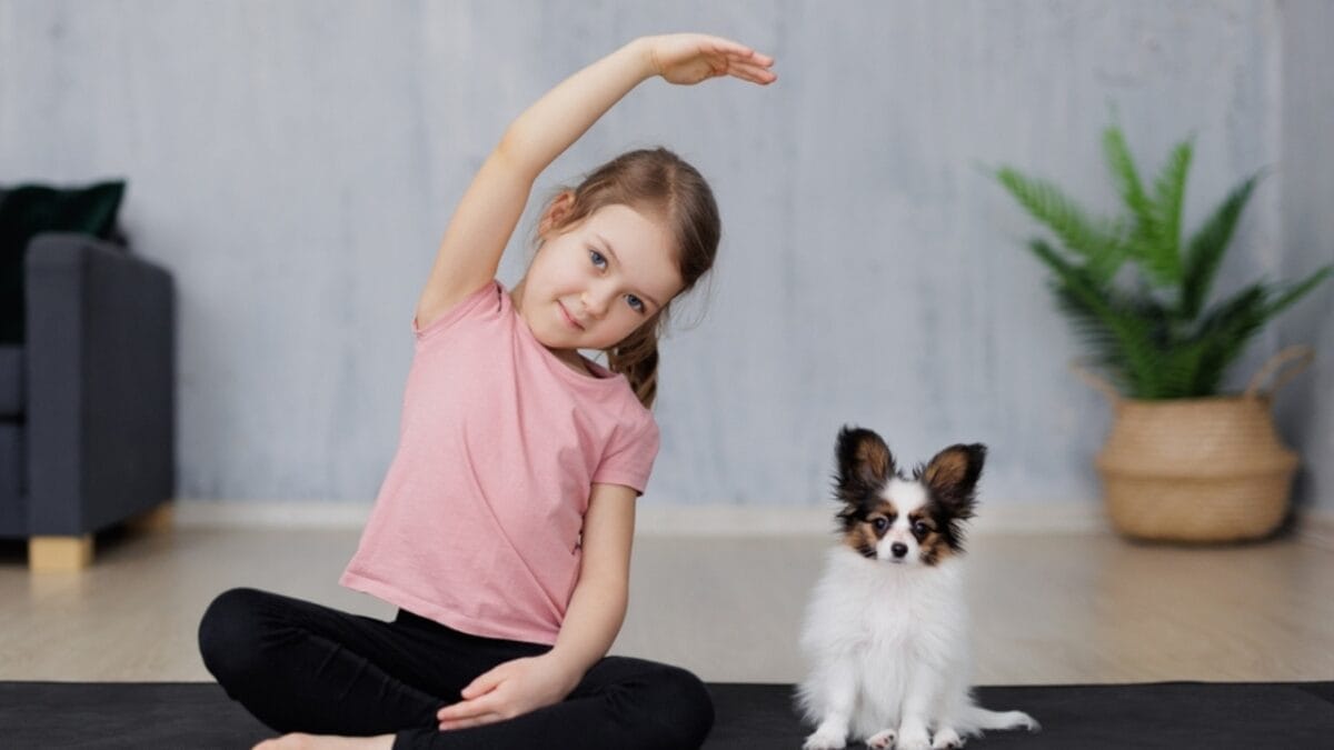 11 Dog Breeds Perfect for First-Time Owners 10 11 Dog Breeds Perfect for First-Time Owners - papillon ss2283705031 1