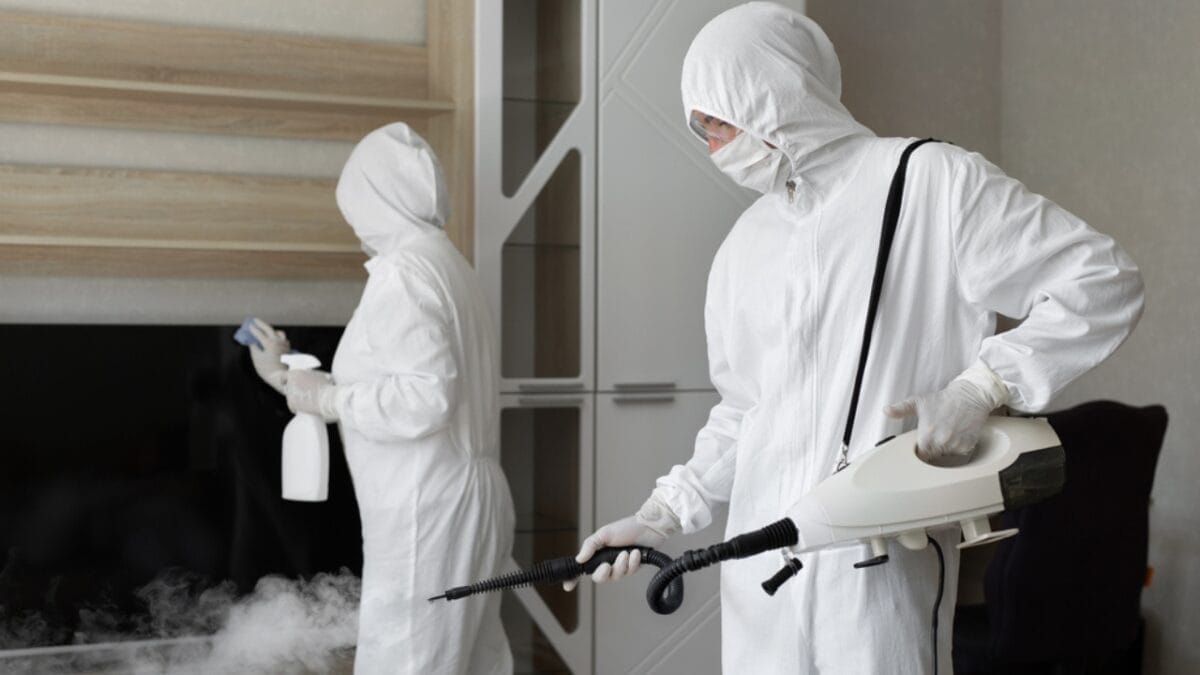 Mold Mites Invade Bathrooms: How to Fight Back - pest control inspection dp375368956