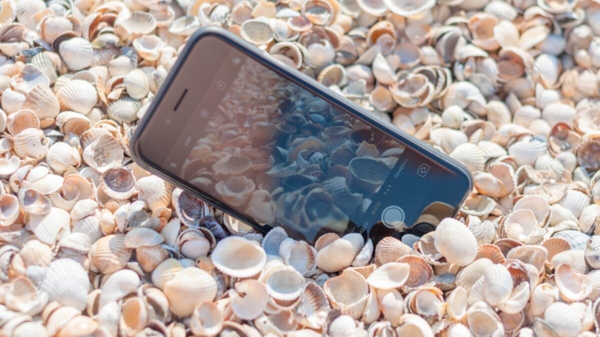 15 Household Items You Can Polish Up Using Toothpaste 13 15 Household Items You Can Polish Up Using Toothpaste - phone in seashell dp217686678