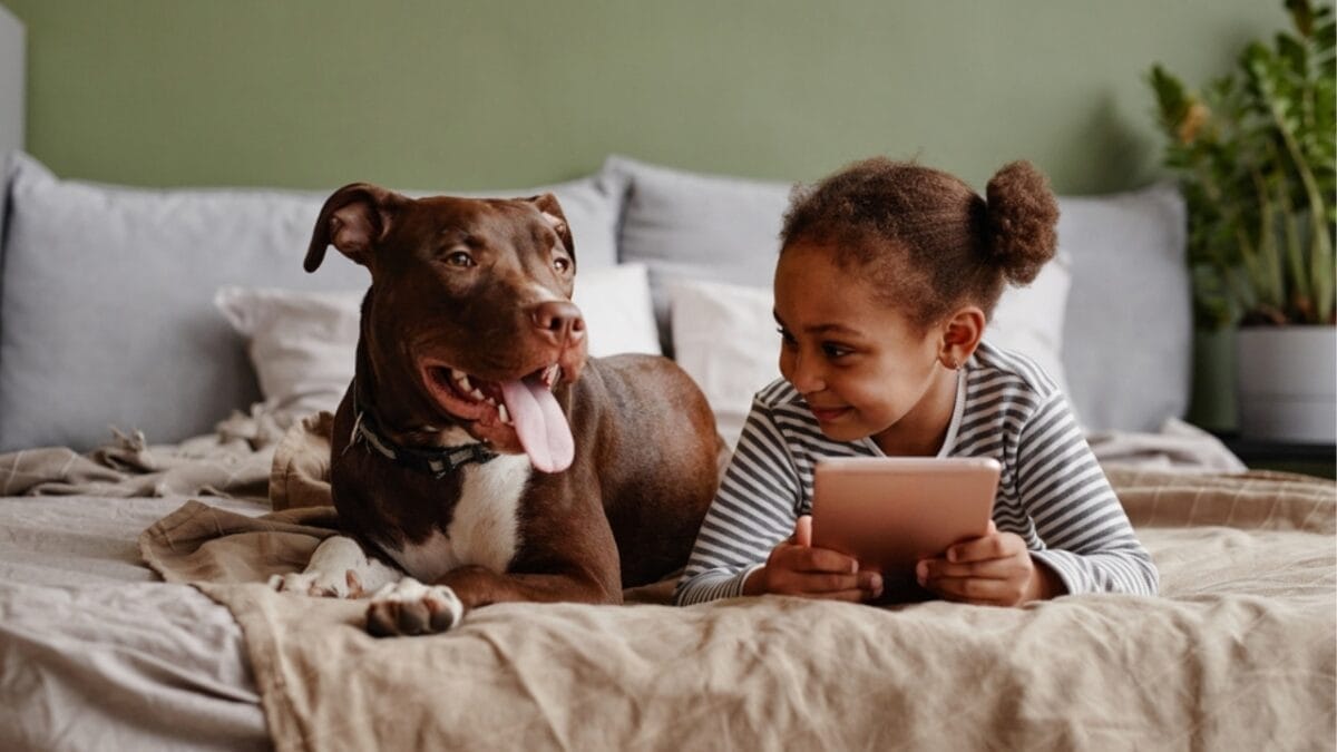 18 Breeds That Love to Take Over Your Bed Every Night 18 18 Breeds That Love to Take Over Your Bed Every Night - pitbull with kid ss2093521372