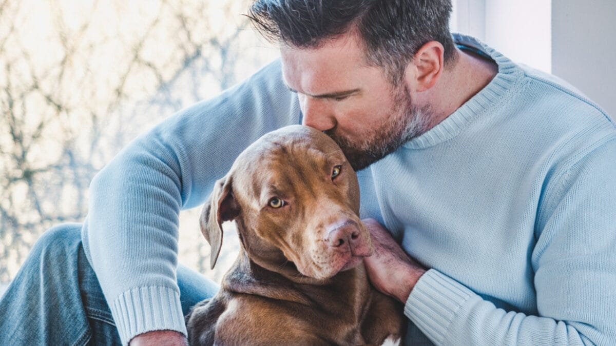 9 Pit Bull Myths: Separating Fact from Fiction About This Misunderstood Breed - pitbull with man ss1702365595