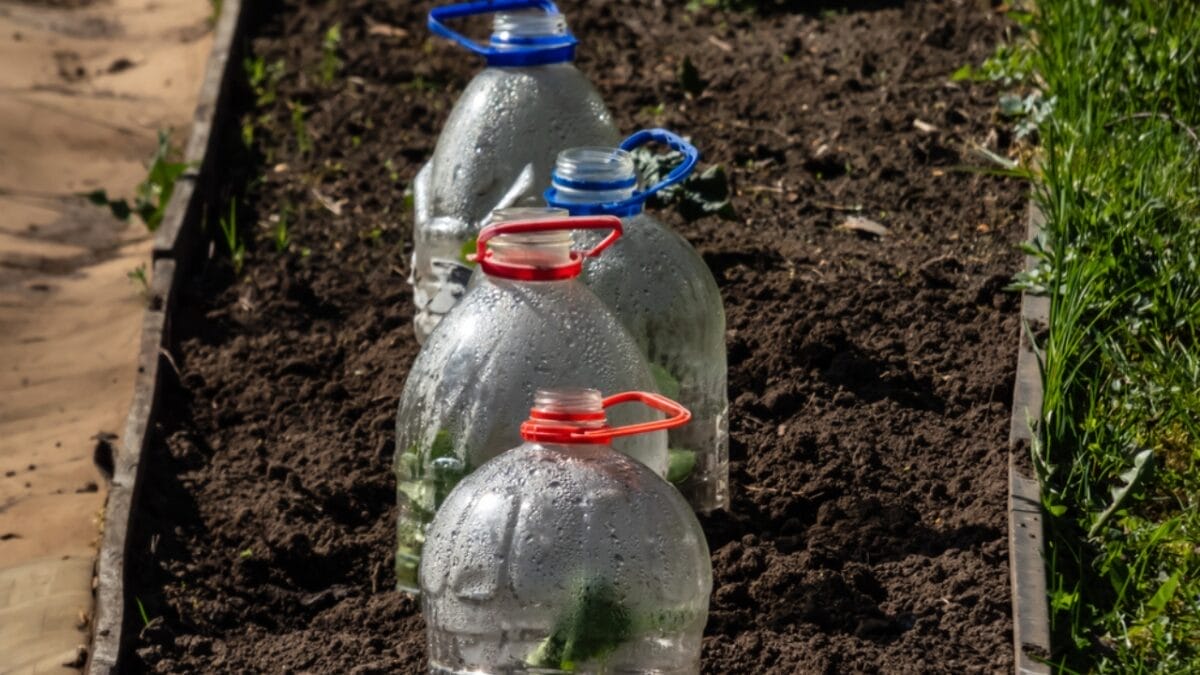 10 Items Not to Throw Away & Unexpected Ways to Repurpose - plastic bottles ss1979245628