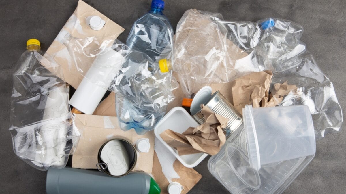 11 Smells That Cats Absolutely Hate 11 11 Smells That Cats Absolutely Hate - plastic ss1926416813