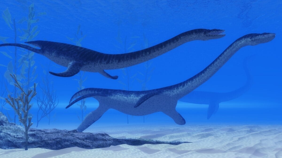 12 Prehistoric Creatures Aside from Dinosaurs Most People Don't Know Existed 11 12 Prehistoric Creatures Aside from Dinosaurs Most People Don't Know Existed - plesiosaurus long necked swimmer dp127707186