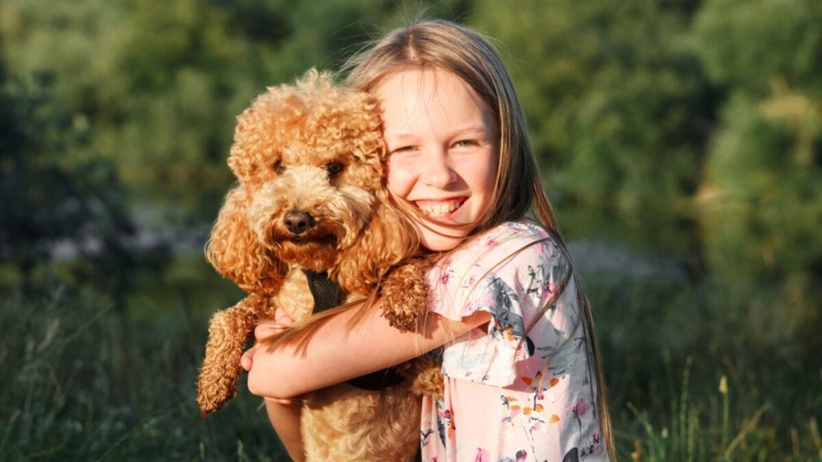 These 17 Dog Breeds are Perfect for Snuggling & Emotional Support - poodle ss2123683178