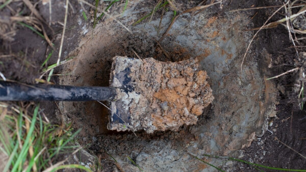 10 Common Houseplant Problems & How to Fix Them 9 10 Common Houseplant Problems & How to Fix Them - poor soil structure ss1537432784