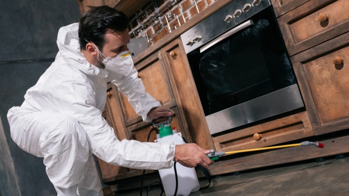 5 Pests Likely to Invade Your Drains This Fall (and How to Stop Them) 7 5 Pests Likely to Invade Your Drains This Fall (and How to Stop Them) - professional pest service ss1135151216