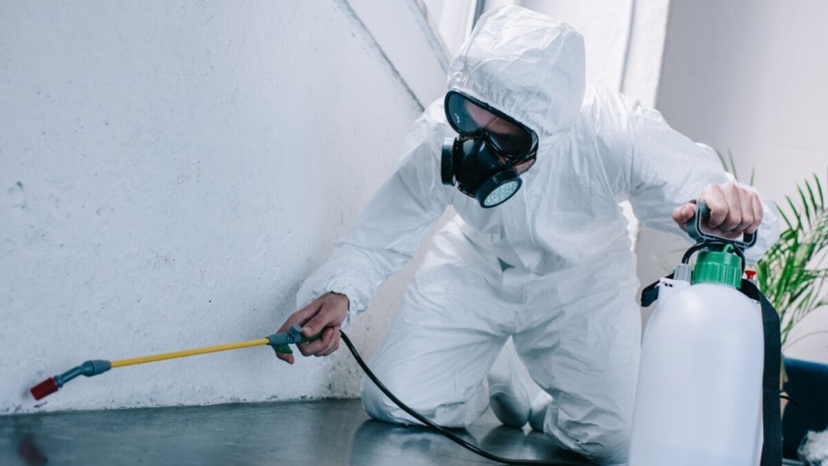 7 Effective Ways to Get Rid of Carpenter Bees 9 7 Effective Ways to Get Rid of Carpenter Bees - profressional exterminator bees dp203574548