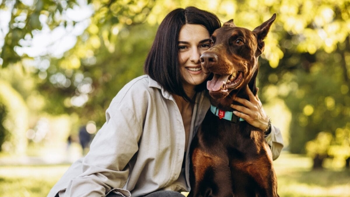 Doberman Debate: 5 Pros & Cons To Help You Decide If This Breed Is Right For You - pros doberman ss2207856411