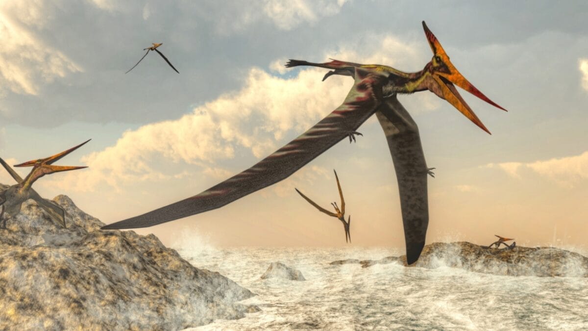 12 Prehistoric Creatures Aside from Dinosaurs Most People Don't Know Existed 3 12 Prehistoric Creatures Aside from Dinosaurs Most People Don't Know Existed - pteranodon sky king dp74712381