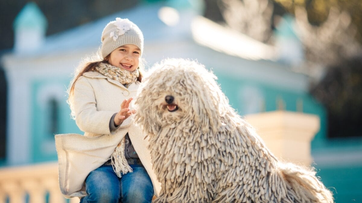 10 Facts about Puli Dogs Every Potential Owner Should Know 7 10 Facts about Puli Dogs Every Potential Owner Should Know - puli dog with kids ss743310751