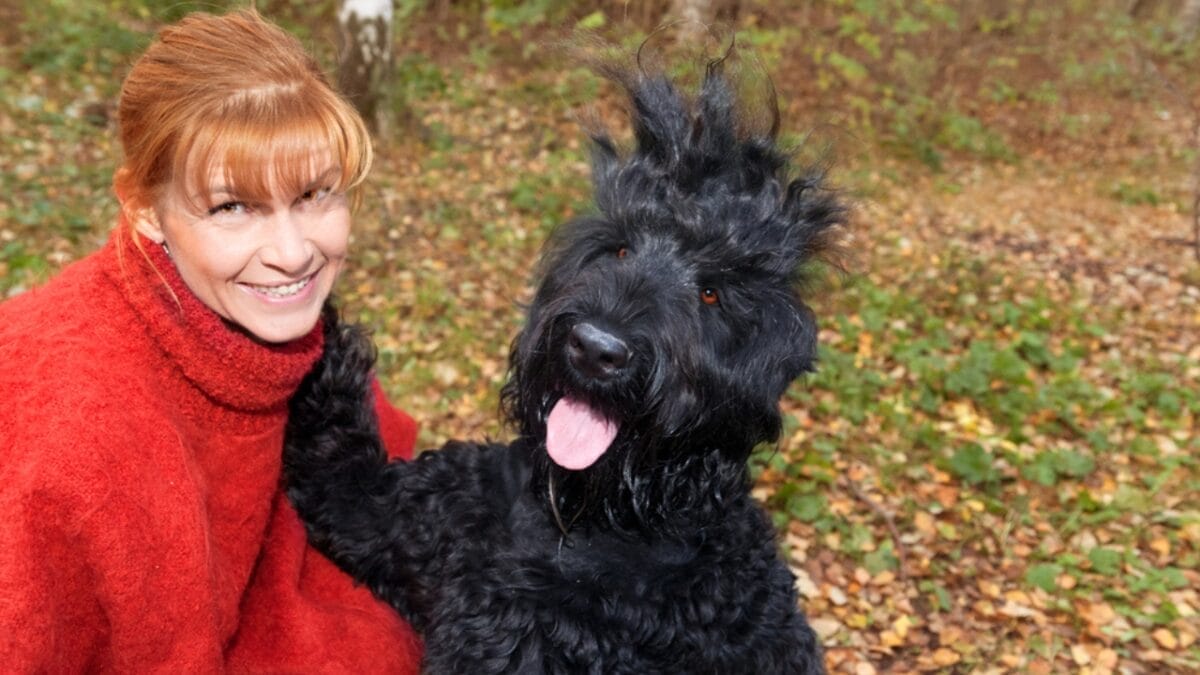 From Soviet Guards to Family Protectors: Black Russian Terriers - russian dog with woman red ss511964356