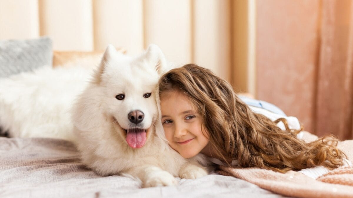 Talking to Your Dog... The Key Might Be in Your Delivery 6 Talking to Your Dog... The Key Might Be in Your Delivery - samoyed dog with owner ss1690409716