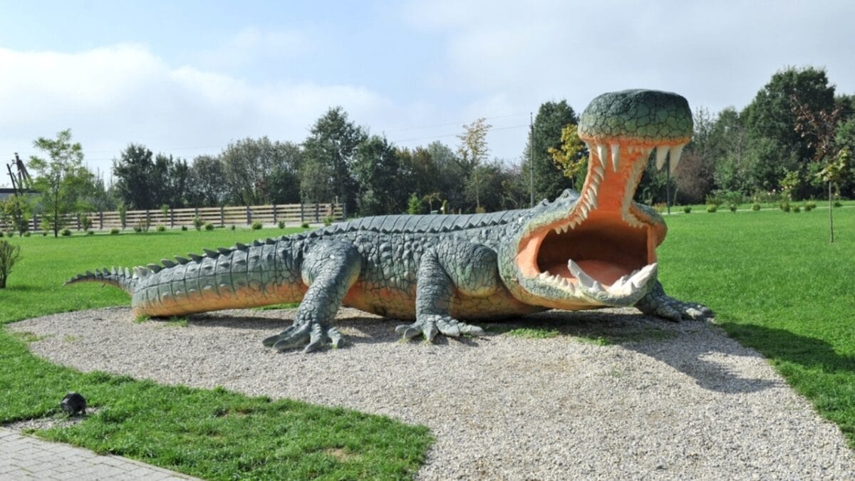 10 Largest Alligator Species Ever Recorded 4 10 Largest Alligator Species Ever Recorded - sarcosuchus ss2424626325