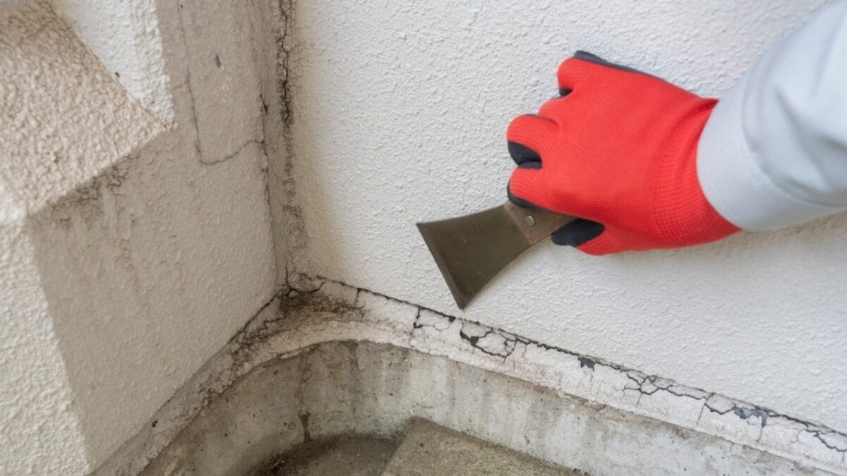 The Smart Homeowner's Mouseproofing Guide: Save Big with These 10 Steps 2 The Smart Homeowner's Mouseproofing Guide: Save Big with These 10 Steps - seal cracks ss2329752995