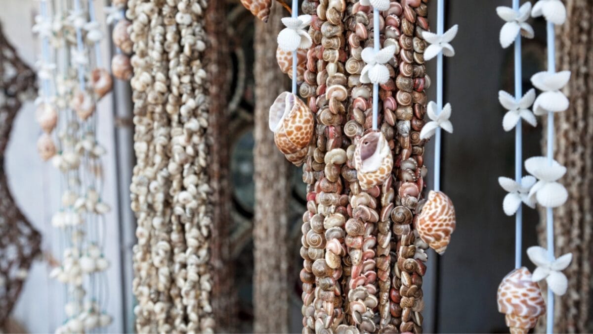 6 Reasons Why People Shouldn't Take Seashells From the Beach 5 6 Reasons Why People Shouldn't Take Seashells From the Beach - seashell in shop dp30454203