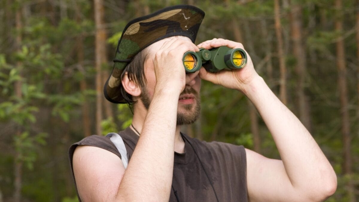 When Nature Plays by Its Own Rules, It Becomes a Mystery for Scientists 5 When Nature Plays by Its Own Rules, It Becomes a Mystery for Scientists - seeking the answers in the wild dp3872273