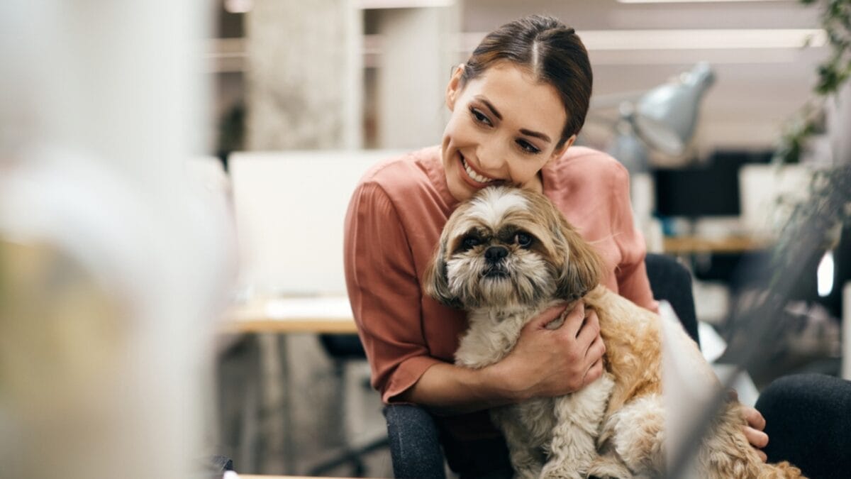 12 Dogs That Defy Age With Their Puppy Looks 9 12 Dogs That Defy Age With Their Puppy Looks - shih tzu ss1983774782