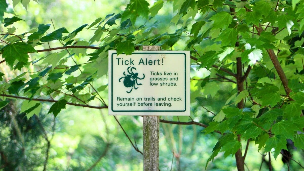 7 U.S. States Facing a Tick Population & Lyme Disease Surge 10 7 U.S. States Facing a Tick Population & Lyme Disease Surge - signange warning about ticks ss2007968783