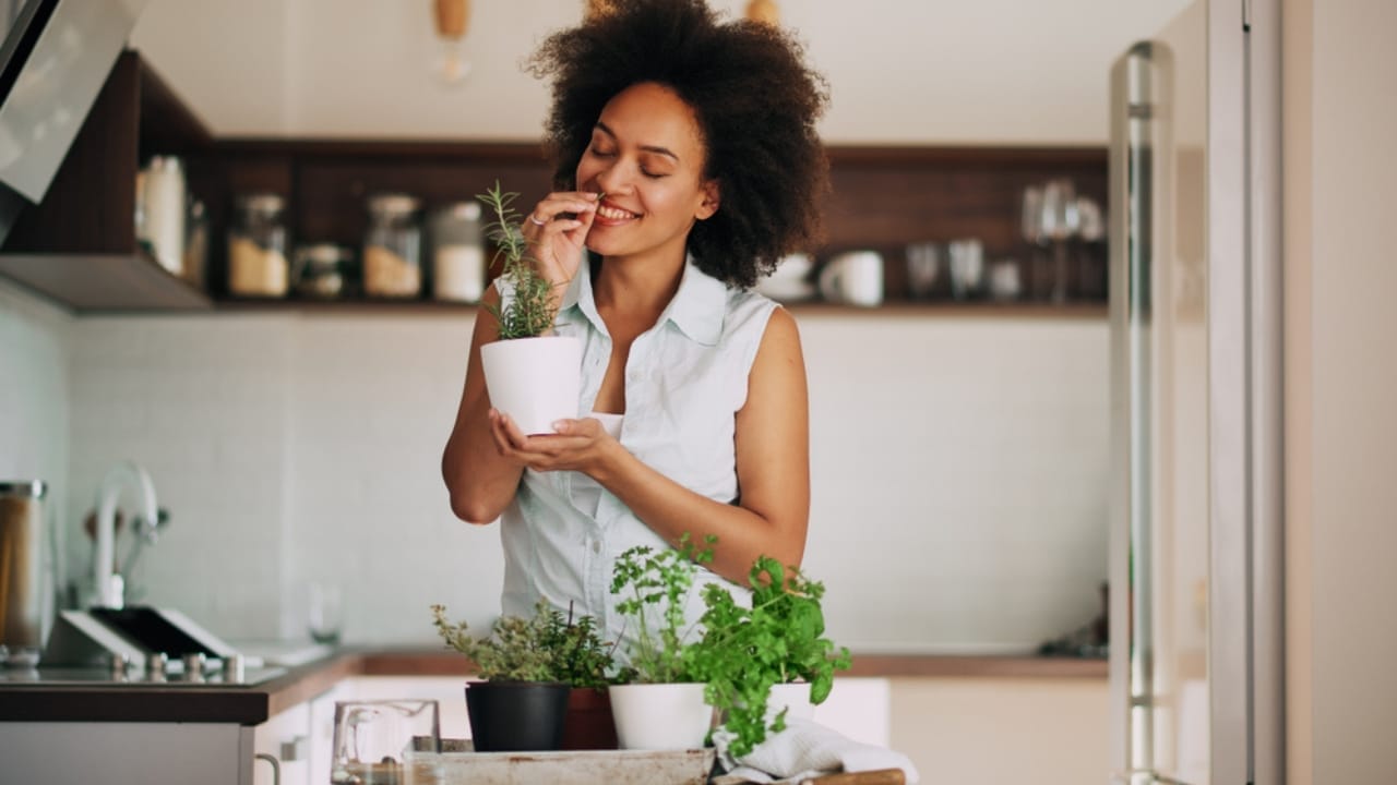 How to Cultivate Your Own Flavorful Herb Garden at Home - smelling fresh herbs at kitchen 1128679484
