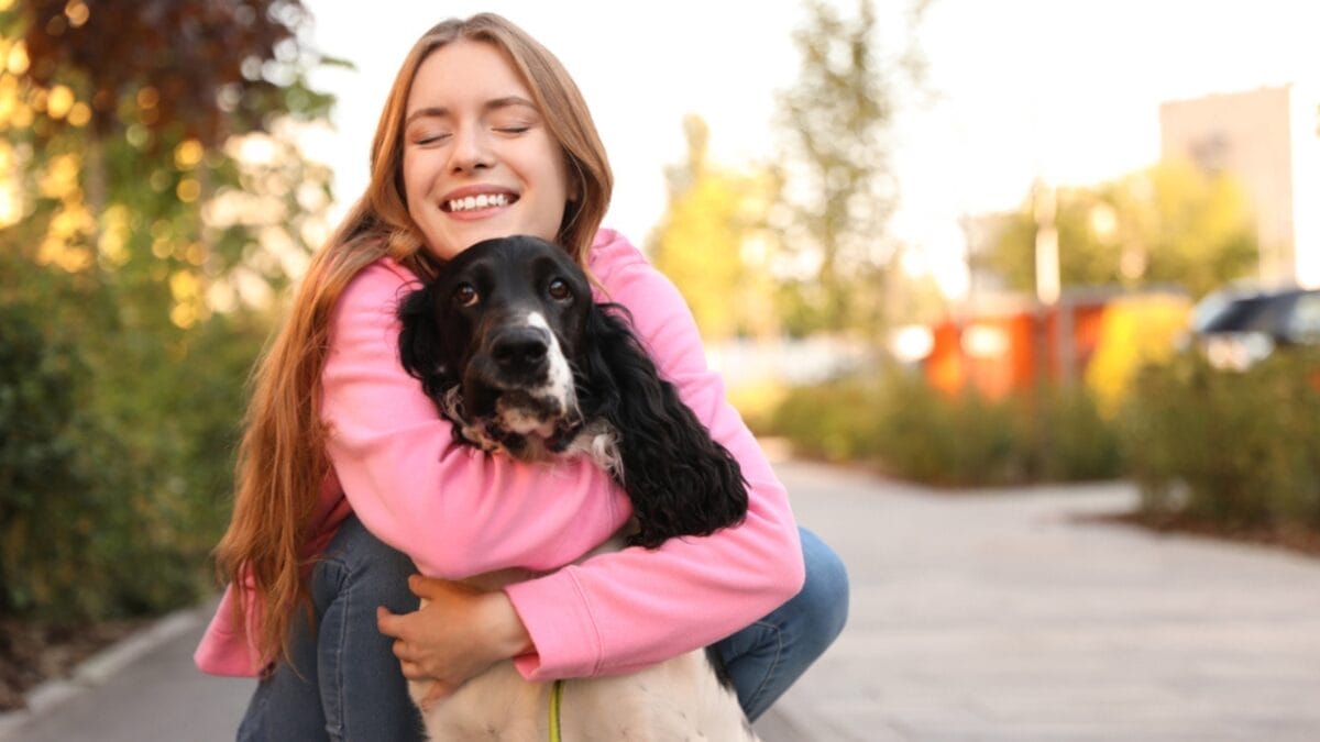 10 Little-Known Facts About English Springer Spaniel Dogs 7 10 Little-Known Facts About English Springer Spaniel Dogs - springer spaniel loyal dp290824064