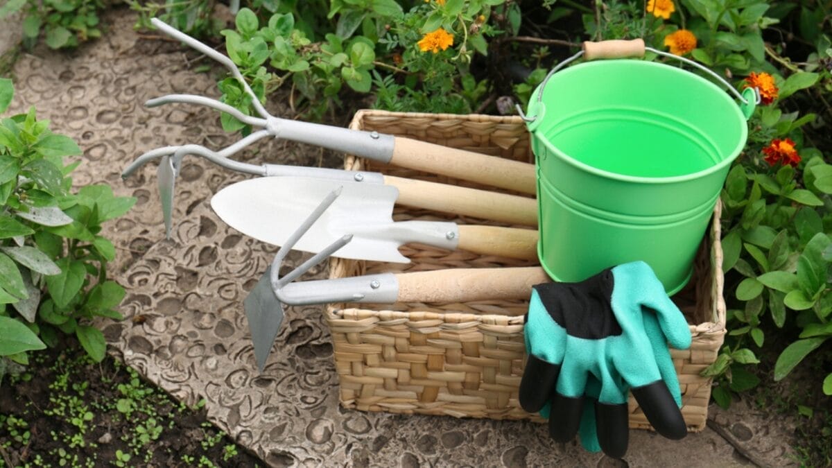 15 Ways to Get Your Garden Frost-Ready Before It’s Too Late 6 15 Ways to Get Your Garden Frost-Ready Before It’s Too Late - sterilize gardening tools dp625870718