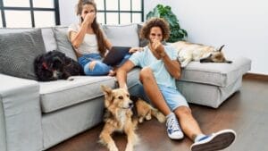 Hold Your Nose: The 9 "Stinkiest" Dog Breeds 1 Hold Your Nose: The 9 "Stinkiest" Dog Breeds - stinky dogs ss2151856527