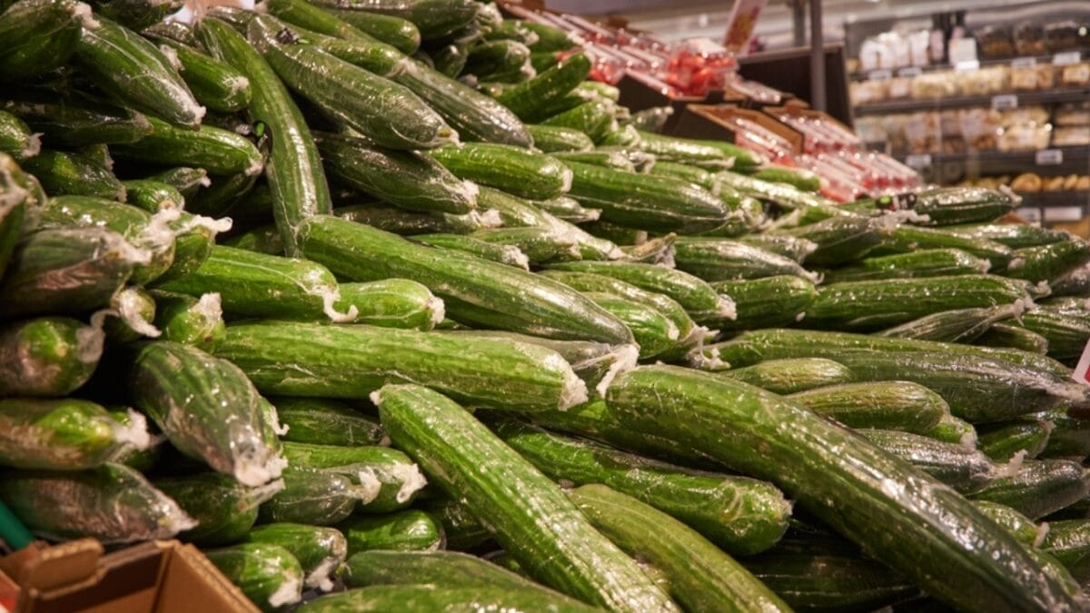 Why Cucumbers are Wrapped in Plastic—and Why it’s a Good Thing - storing cucumber ss2193754703