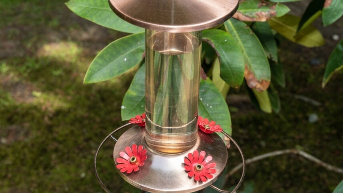 7 Solutions for Keeping Bees Off Hummingbird Feeders 8 7 Solutions for Keeping Bees Off Hummingbird Feeders - sugar solution ss2191354345