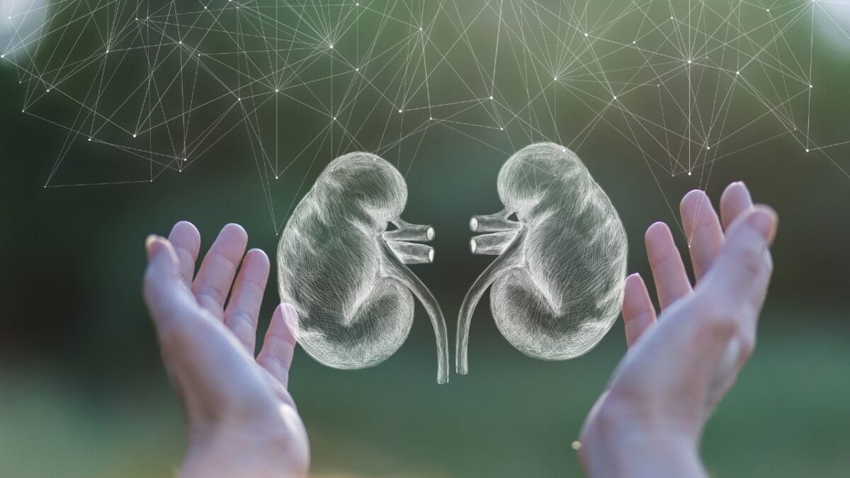 7 Nutritional Benefits of Watermelon Rinds That Will Make You Think Twice Before Throwing Them Away 8 7 Nutritional Benefits of Watermelon Rinds That Will Make You Think Twice Before Throwing Them Away - support kidney health dp391632344