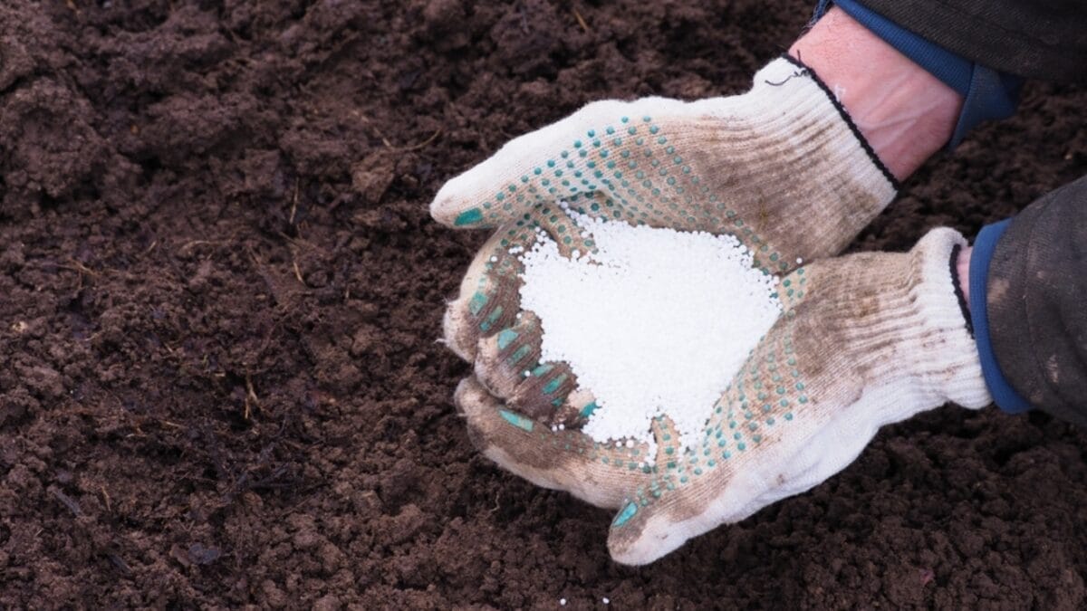 10 Reasons to Never Use Miracle-Gro In Your Garden 3 10 Reasons to Never Use Miracle-Gro In Your Garden - synthetic fertilizer ss2158102617