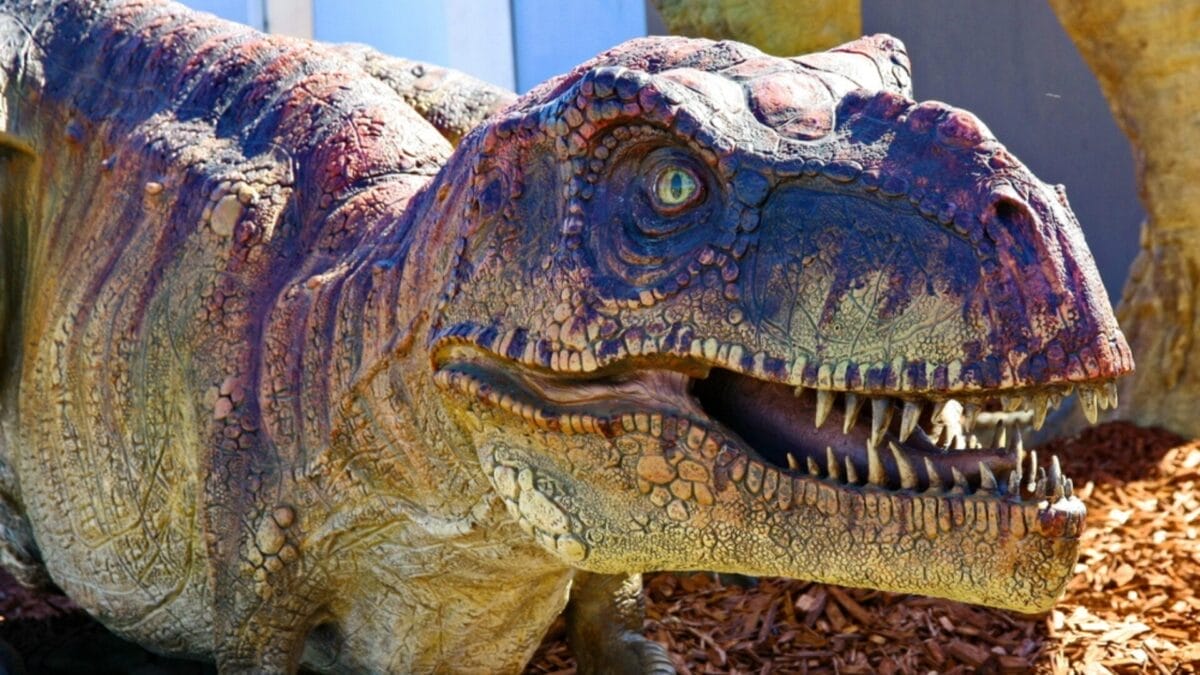 Beyond Jurassic Park: 12 Little-Known Facts About the Real T-Rex 3 Beyond Jurassic Park: 12 Little-Known Facts About the Real T-Rex - t rex eyes ss405130420