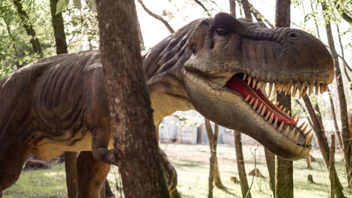 Scientists Revise Theories on T. rex Once Again Based on New Research 5 Scientists Revise Theories on T. rex Once Again Based on New Research - t rex in tree ss2208384131