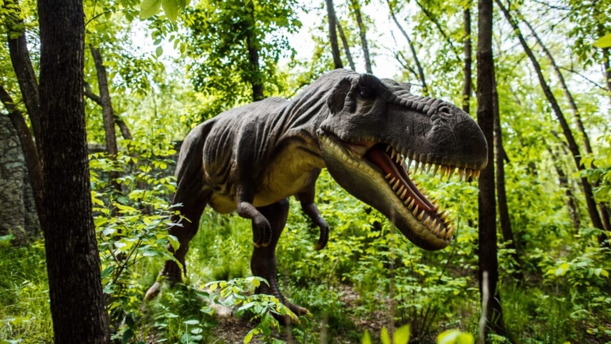 Scientists Revise Theories on T. rex Once Again Based on New Research - t rex smelling ss578359210