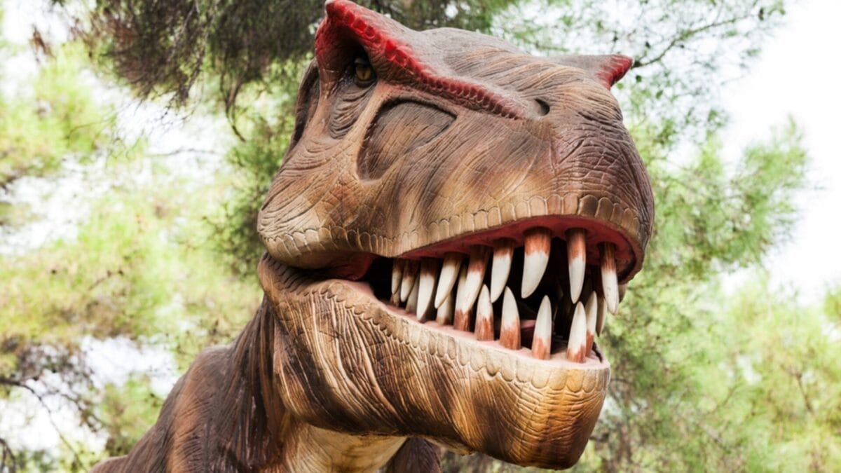 Beyond Jurassic Park: 12 Little-Known Facts About the Real T-Rex 4 Beyond Jurassic Park: 12 Little-Known Facts About the Real T-Rex - t rex teeth ss227211115
