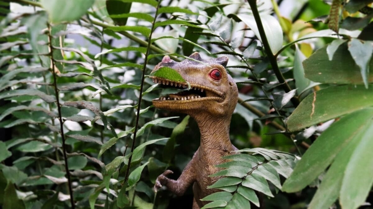 Beyond Jurassic Park: 12 Little-Known Facts About the Real T-Rex 11 Beyond Jurassic Park: 12 Little-Known Facts About the Real T-Rex - tiny t rex ss2177225411