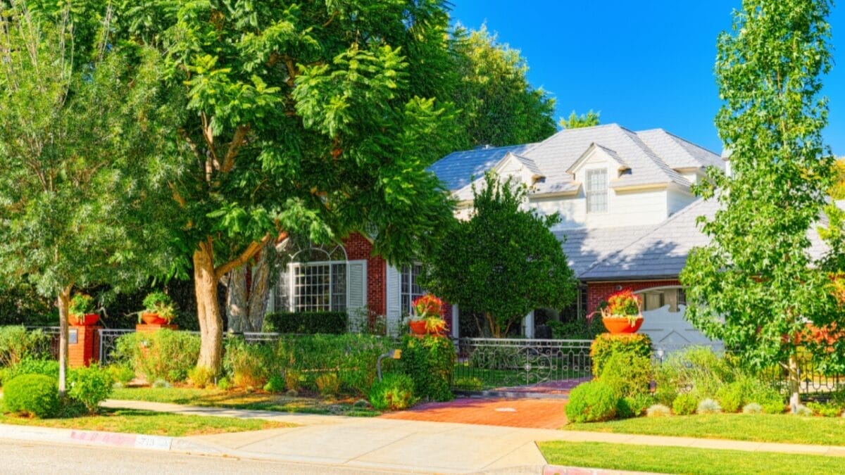 20 Curb Appeal Ideas to Supercharge Your Home's Value - trees ss1331768096