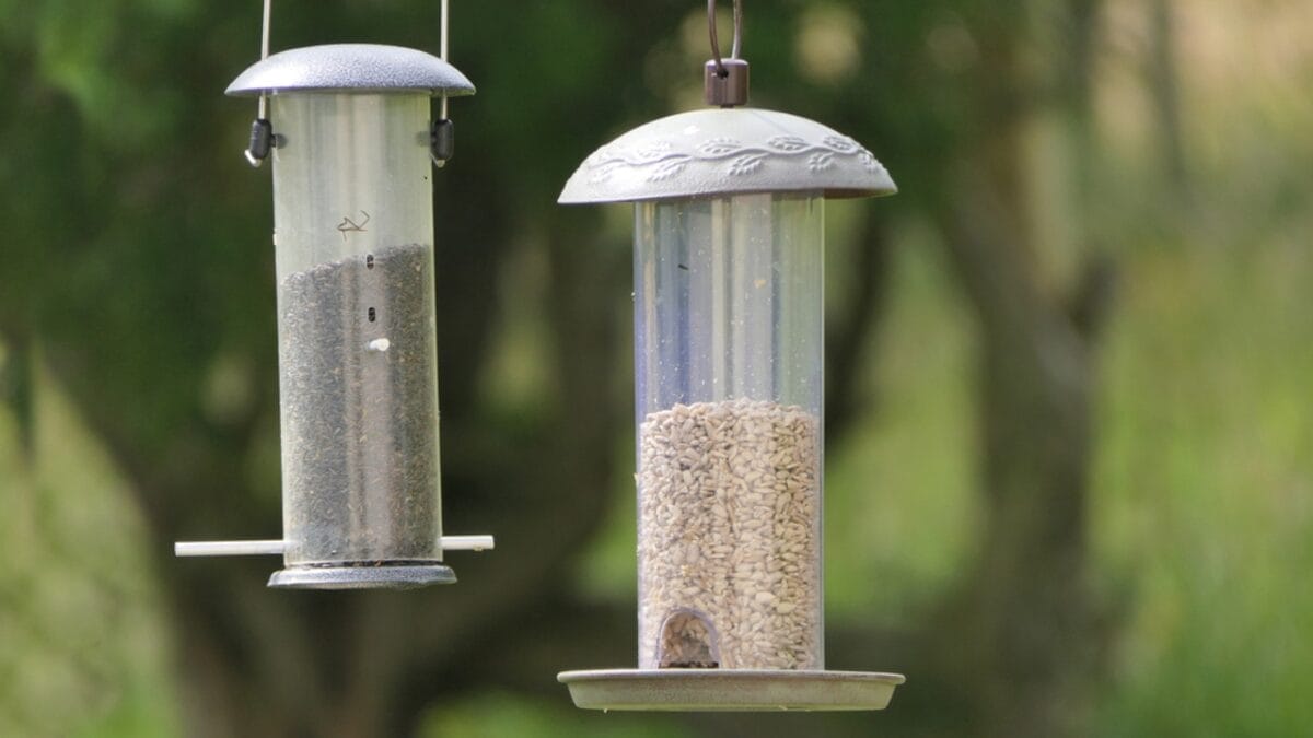 10 Effective Ways to Keep Grackles Away from Your Bird Feeders 12 10 Effective Ways to Keep Grackles Away from Your Bird Feeders - tube bird feeder dp514569746