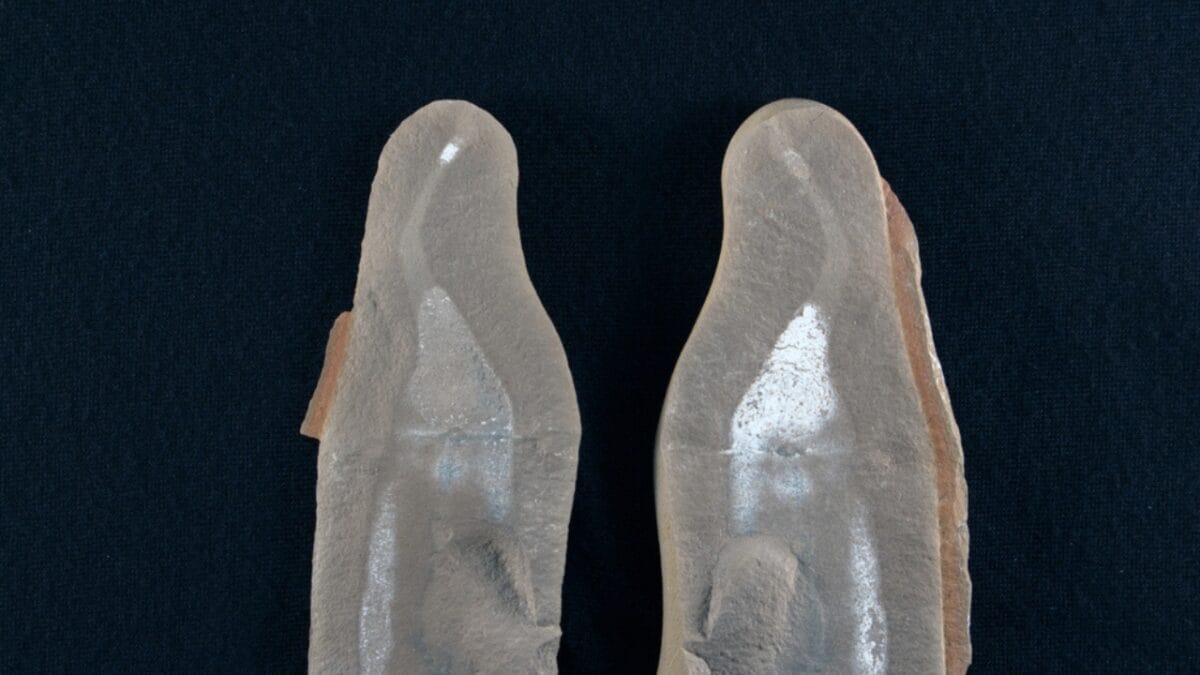 10 Colossal Creatures That Roamed the Earth Before Dinosaurs 8 10 Colossal Creatures That Roamed the Earth Before Dinosaurs - tully monster ss1540432910