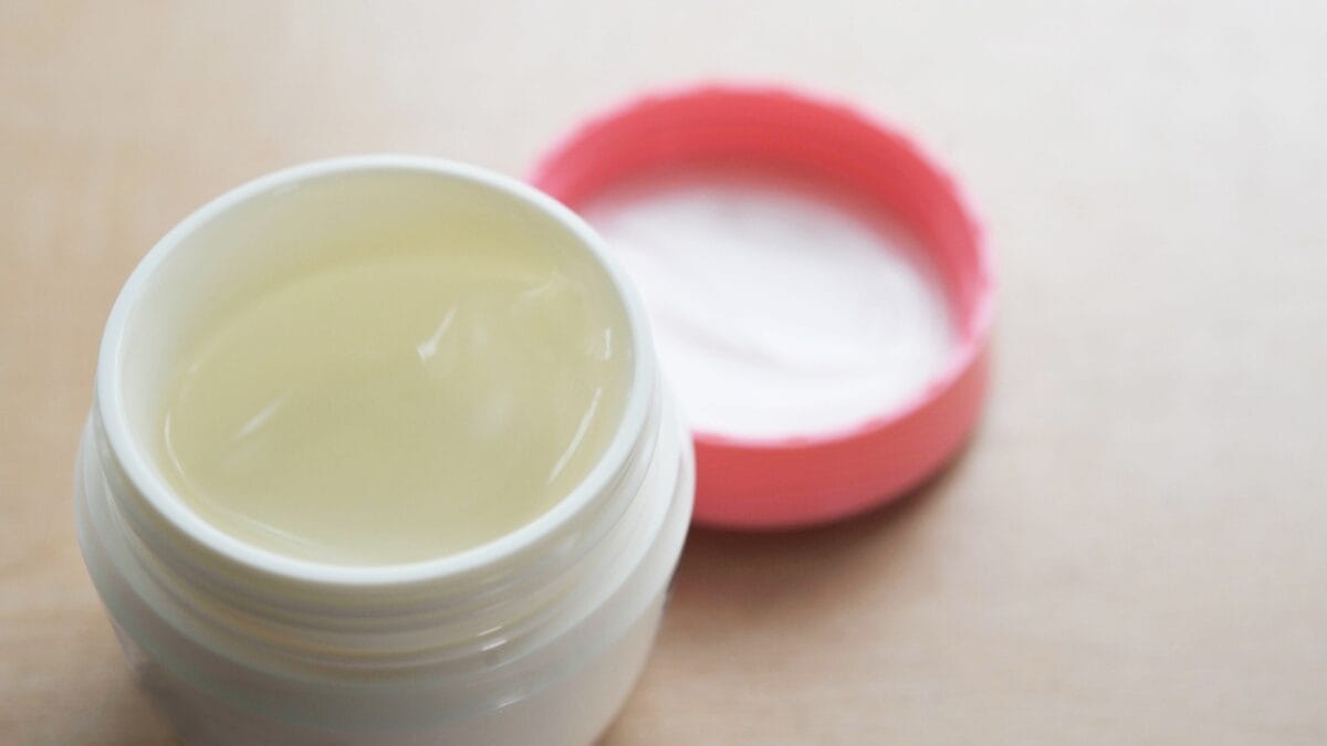 10 Need-to-Know Tips for First-Time Bulldog Owners 4 10 Need-to-Know Tips for First-Time Bulldog Owners - vaseline for dogs ss1728802828