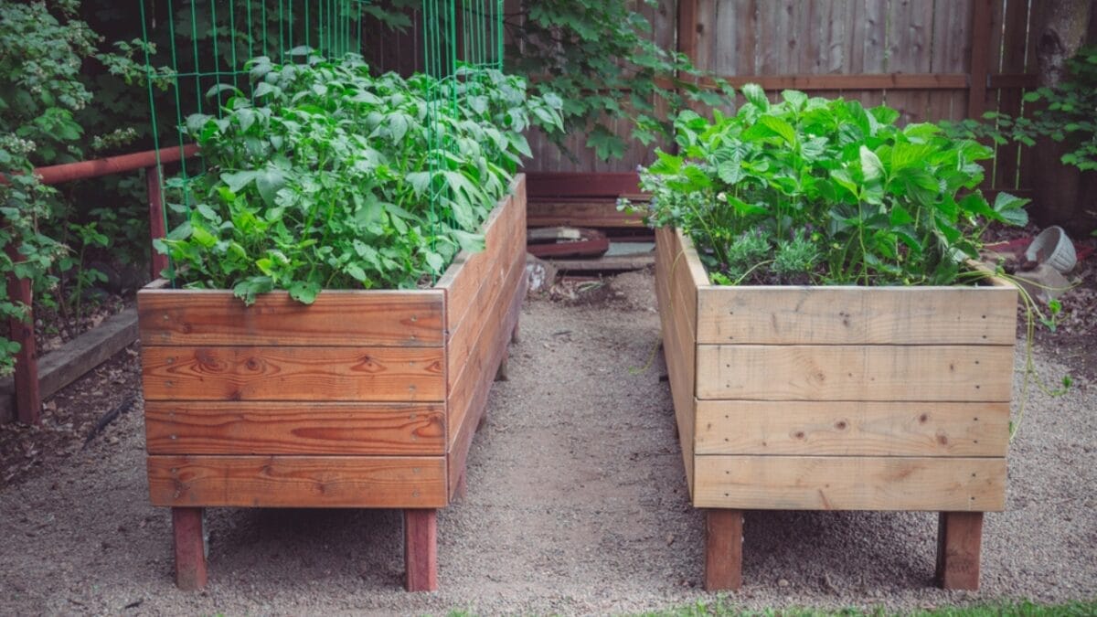 Bountiful Raised Garden Beds in 9 Easy Steps - vegetable raised garden bed ss1907207599
