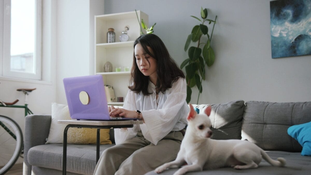 13 Reasons Why You Wouldn't Want a Chihuahua as a Pet - very protective chihuahua ss1644834670