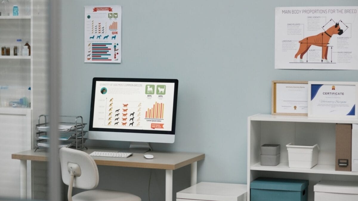 10 Things to Know About Scottish Deerhound Dogs Before Bringing One Home 7 10 Things to Know About Scottish Deerhound Dogs Before Bringing One Home - veterinary ss2250197687