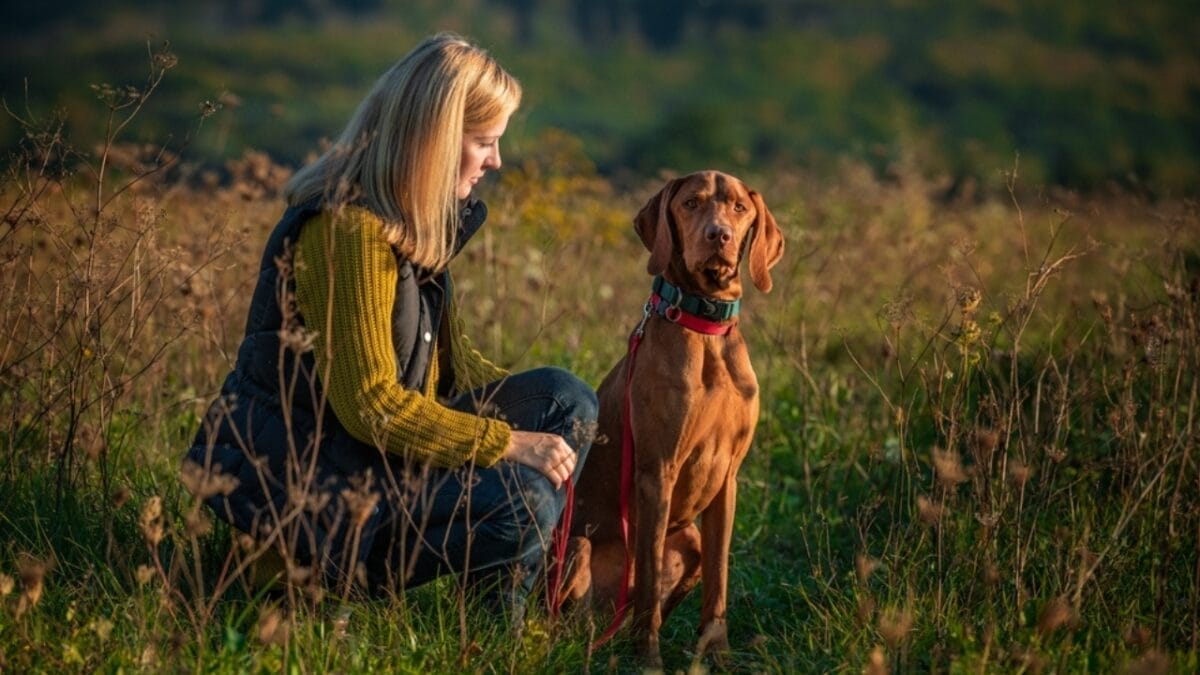 15 Dogs That Form Unbreakable Bonds with Their Humans - vizsla ss2071726052