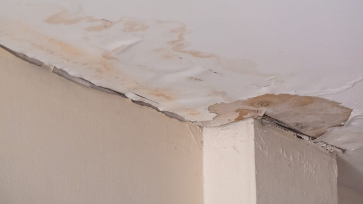 The Smart Homeowner's Mouseproofing Guide: Save Big with These 10 Steps 8 The Smart Homeowner's Mouseproofing Guide: Save Big with These 10 Steps - water leaking ss1452588932