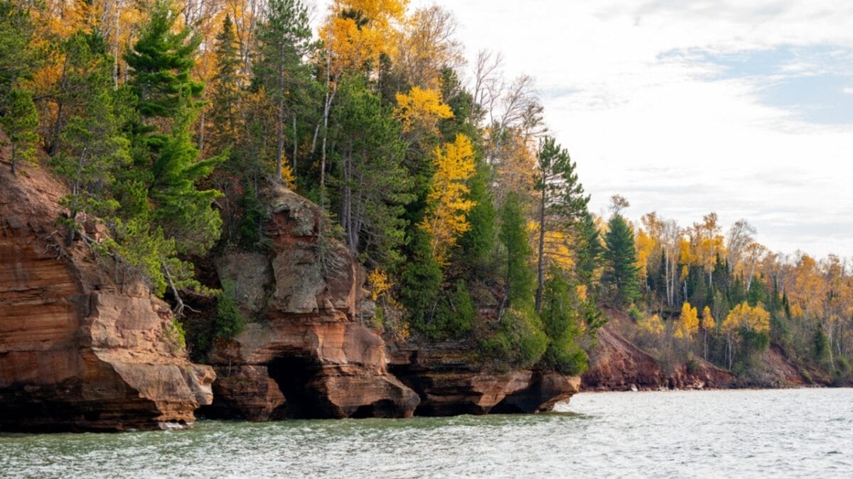 12 Best US States for Bird Watching 13 12 Best US States for Bird Watching - wisconsin apostle islands national lakeshore dp315139242