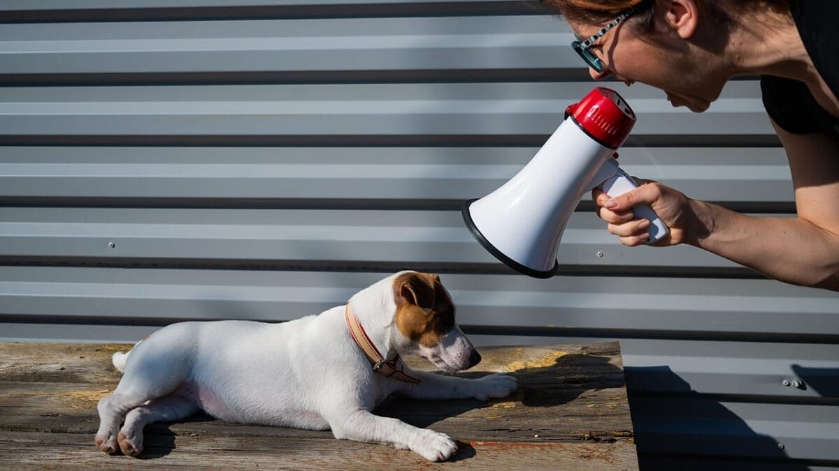 15 Common Habits Your Dog Secretly Wishes You’d Stop Doing 4 15 Common Habits Your Dog Secretly Wishes You’d Stop Doing - woman yelling at dog ss1773232448