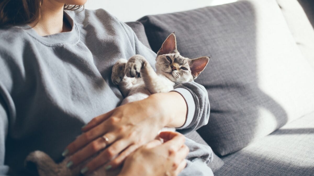 9 Lives, 9 Health Benefits: How Cats Can Extend Your Lifespan 8 9 Lives, 9 Health Benefits: How Cats Can Extend Your Lifespan - woman baby cat sofa ss654023593